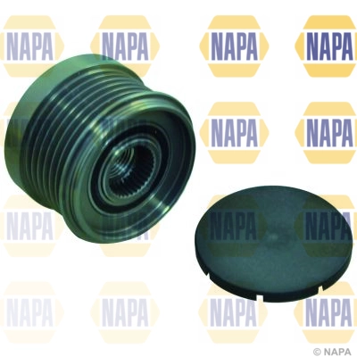 NOP1131