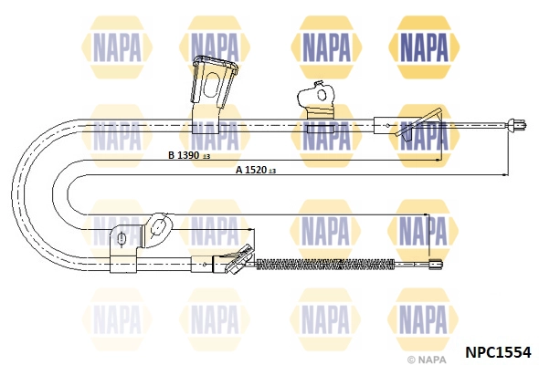 NPC1554