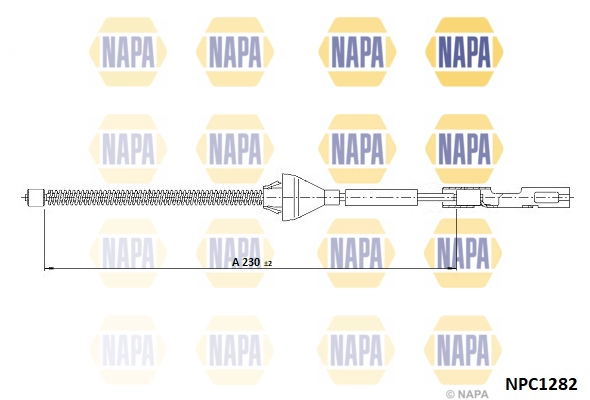 NPC1282