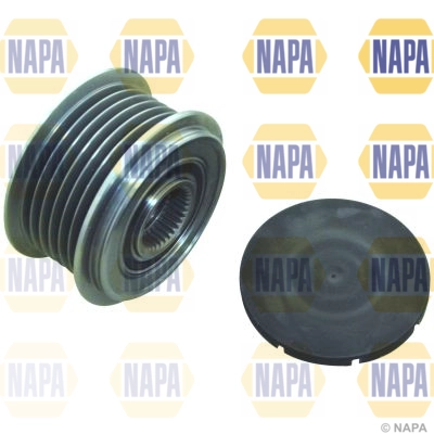 NOP1008