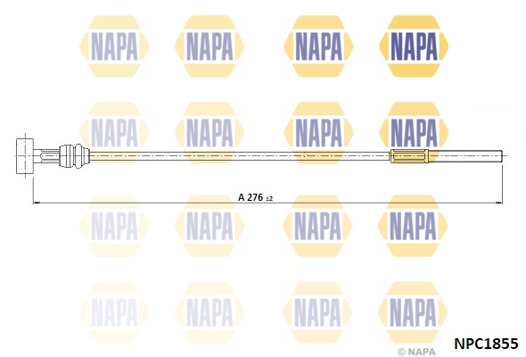 NPC1855