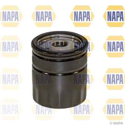 NFO3169