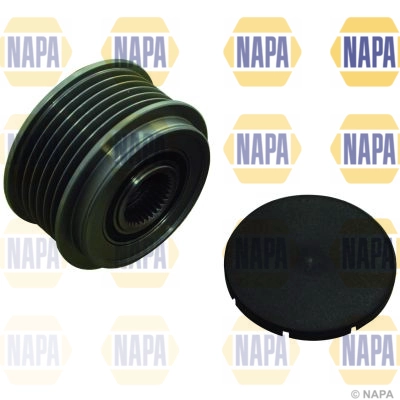 NOP1009