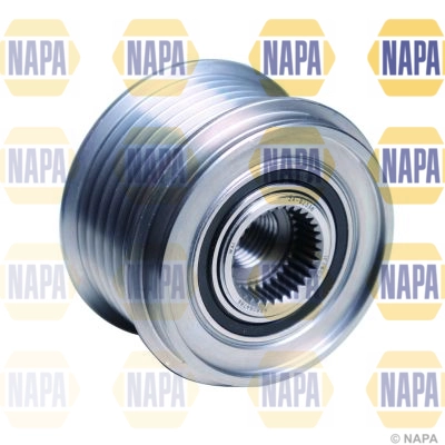NOP1037