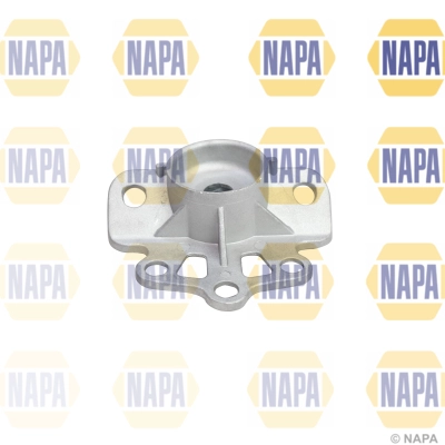 NKM1134