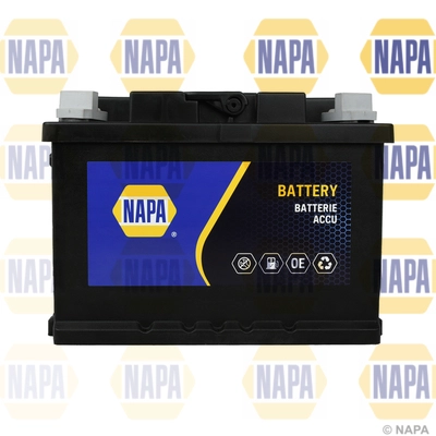 NAPA 097N