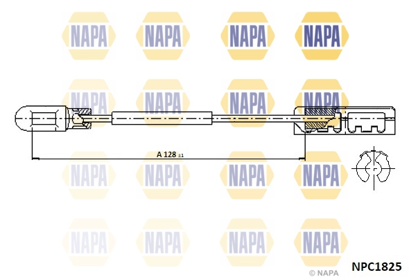 NPC1825