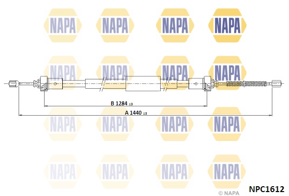NPC1612