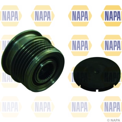 NOP1137
