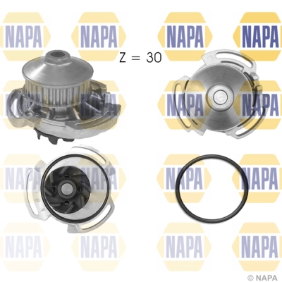 NWP1011