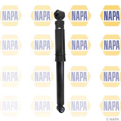 NSA1309