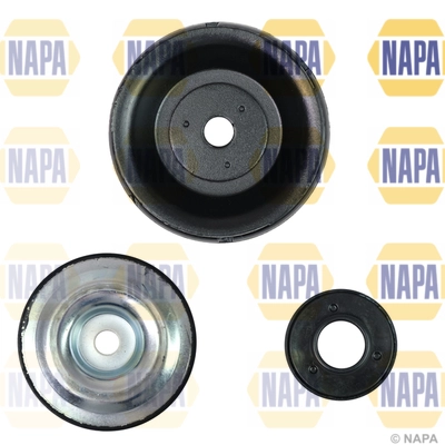NKM1131