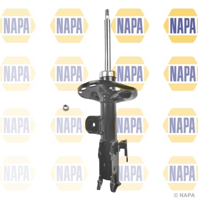 NSA1317