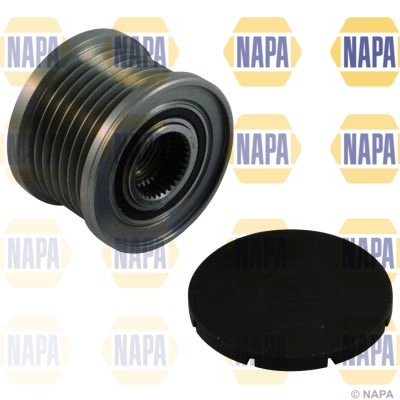 NOP1146
