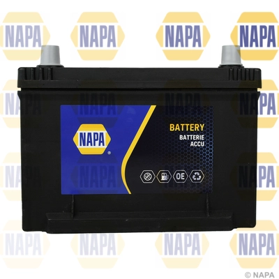 NAPA 113N