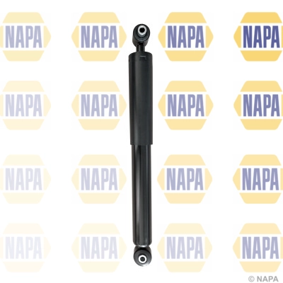 NSA1813