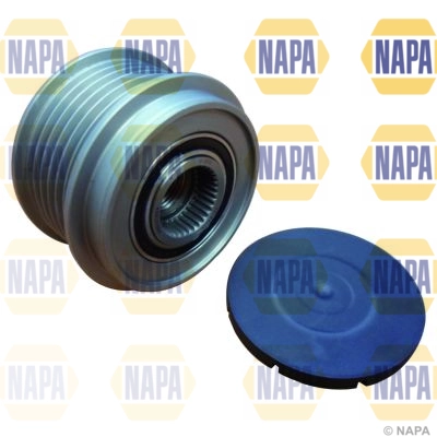 NOP1132