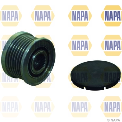NOP1085