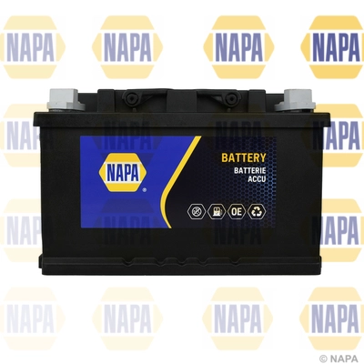 NAPA 095N