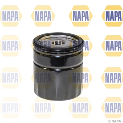 NFO3177