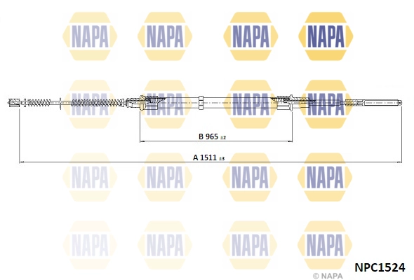 NPC1524