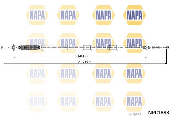 NPC1883