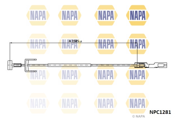 NPC1281