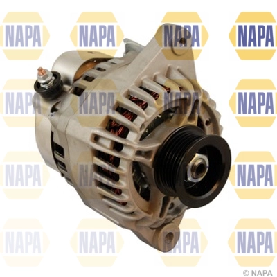 NAL1173