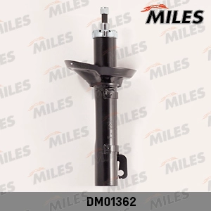 DM01362