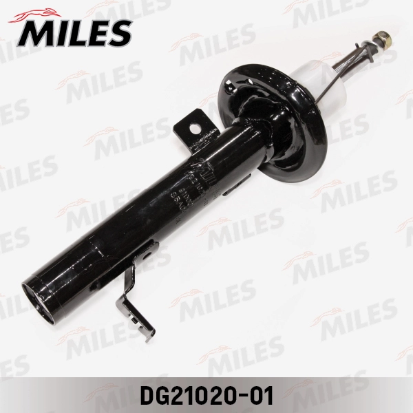 DG21020-01