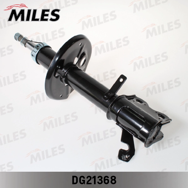DG21368