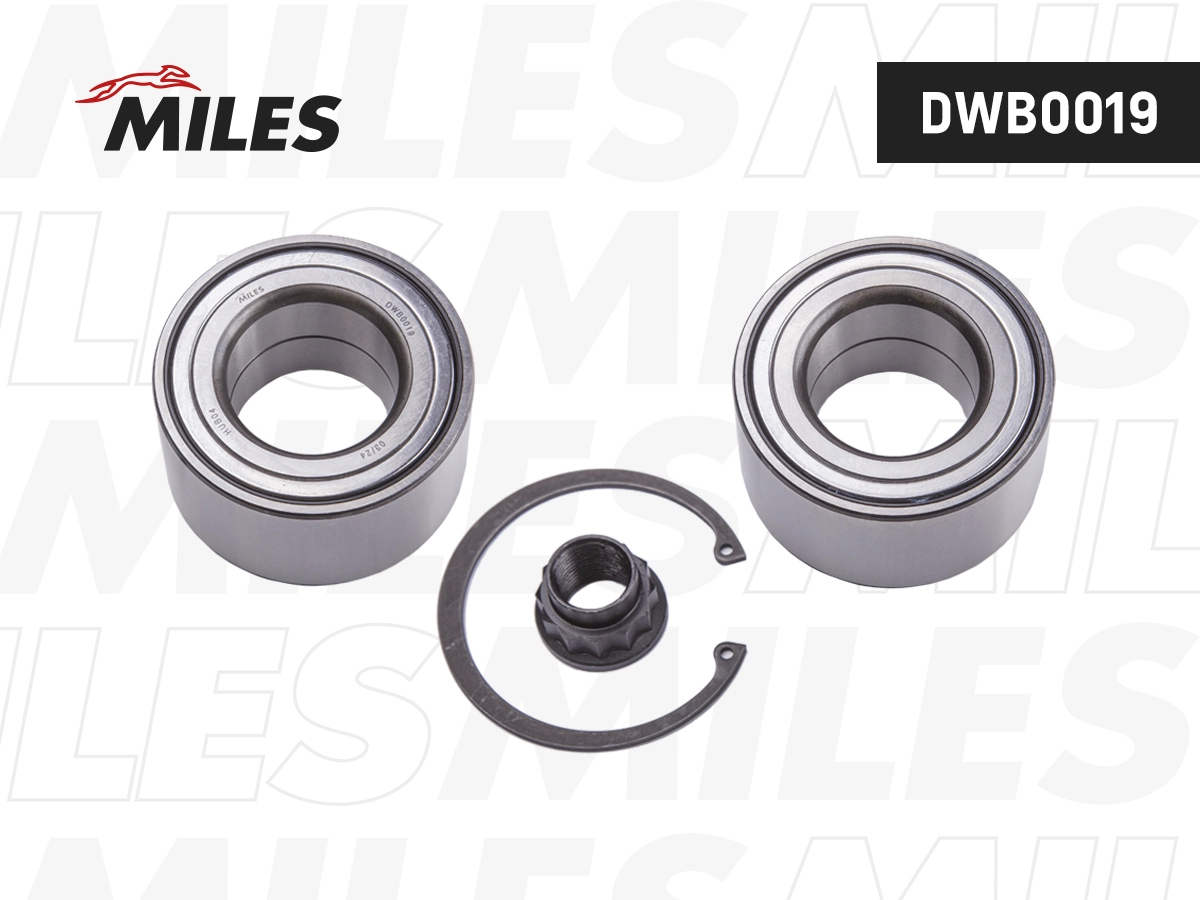 DWB0019