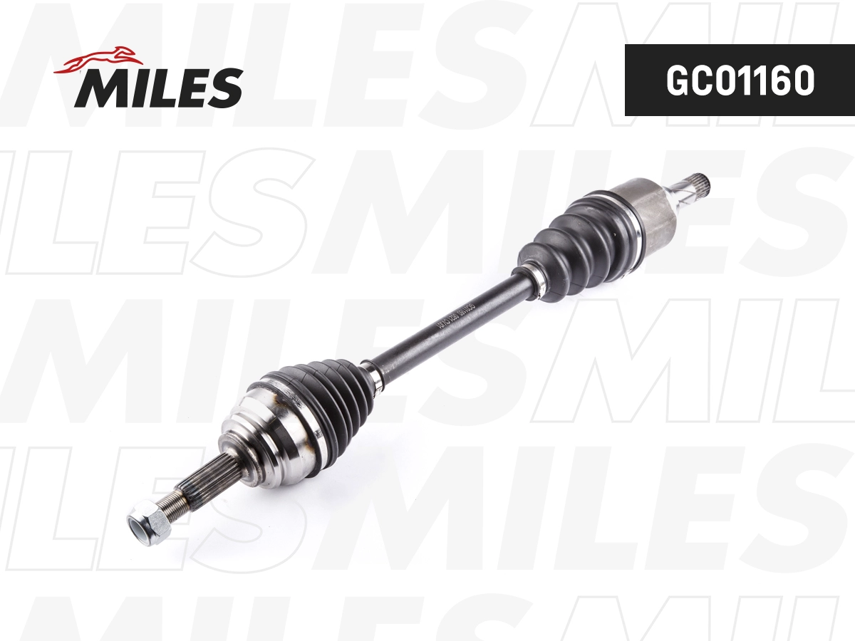 GC01160