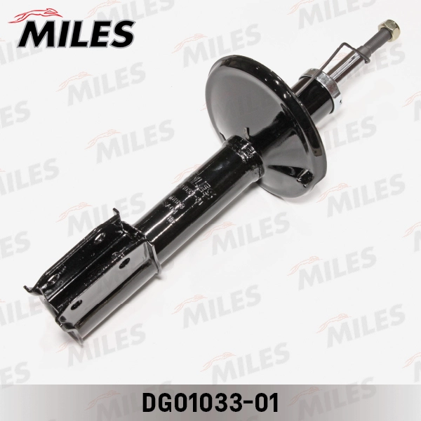 DG01033-01