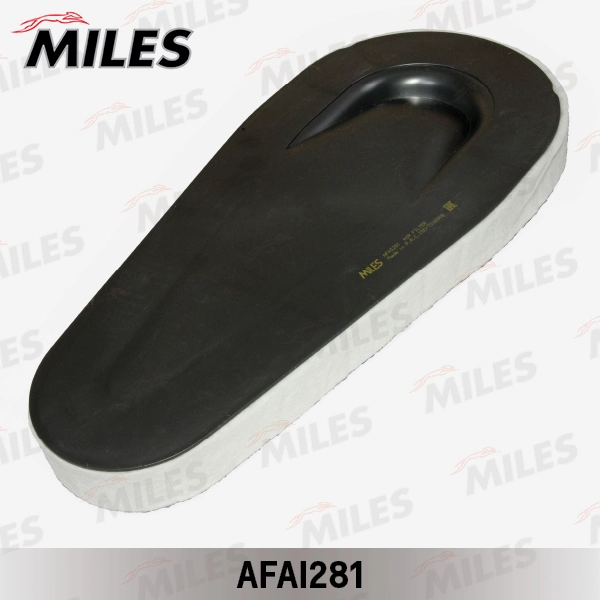 AFAI281