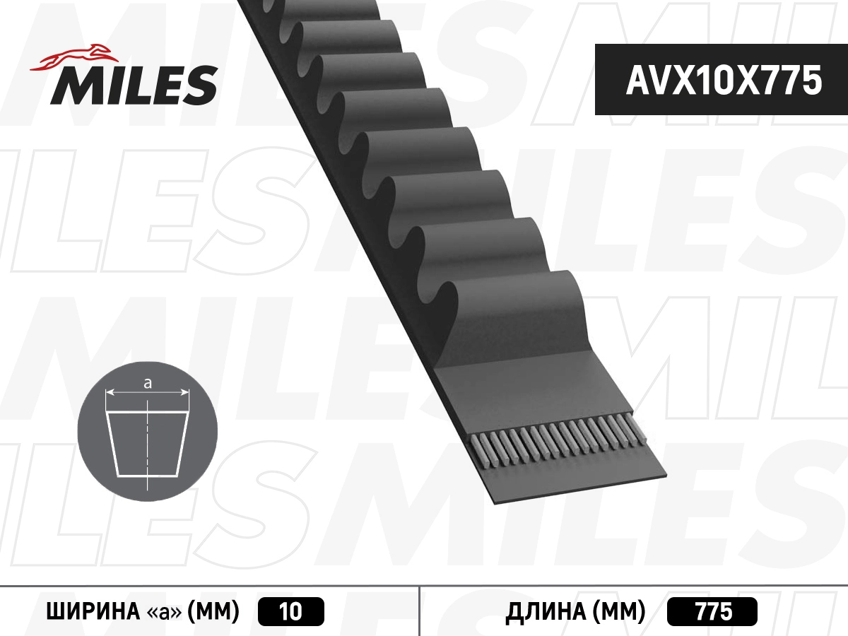 AVX10X775