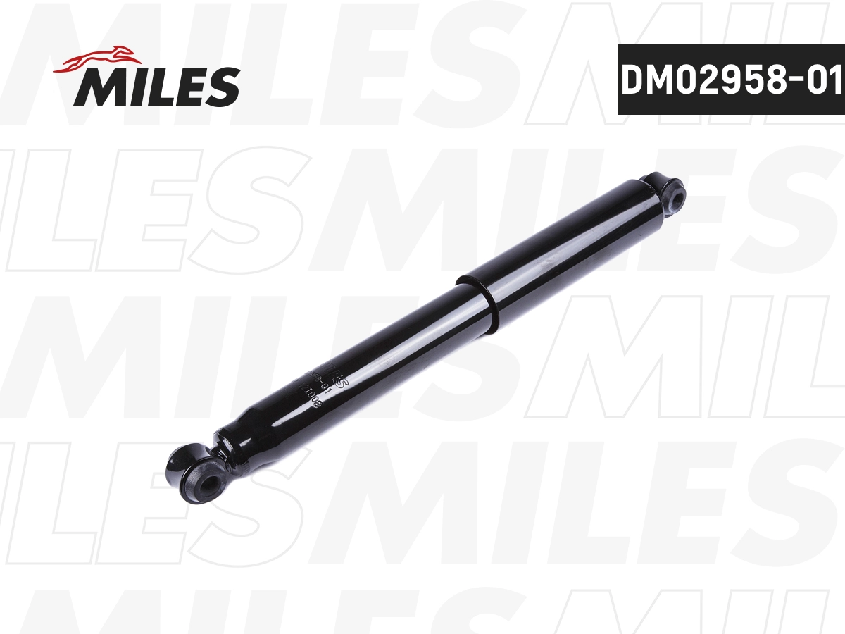 DM02958-01