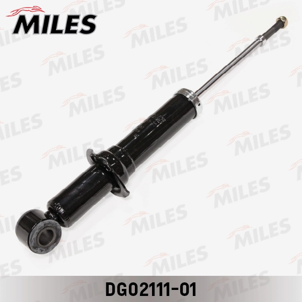 DG02111-01