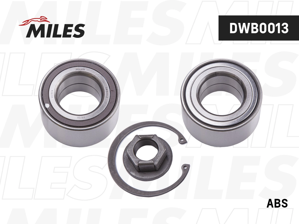 DWB0013