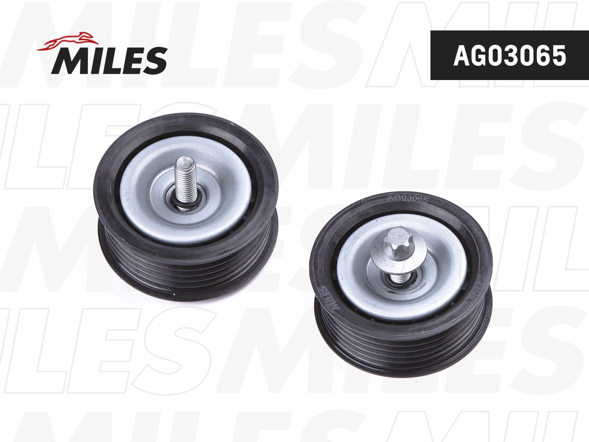 AG03065