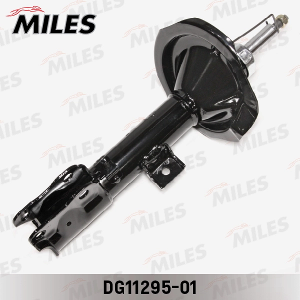 DG11295-01