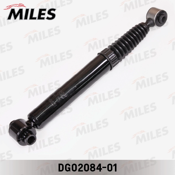 DG02084-01
