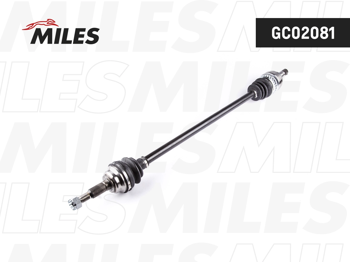GC02081