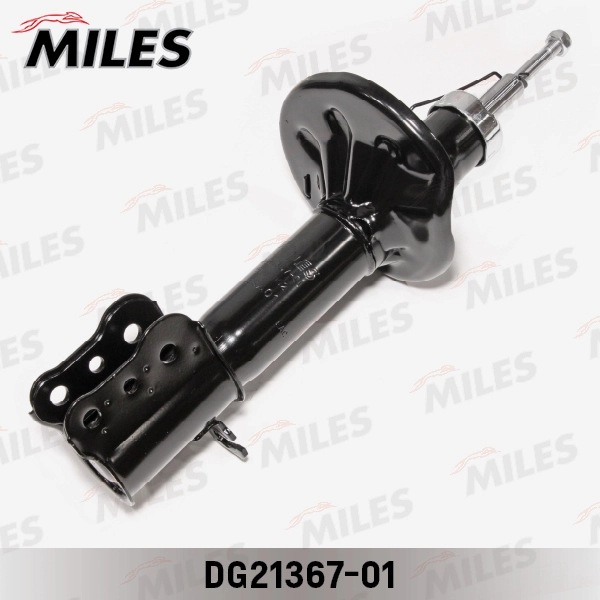 DG21367-01