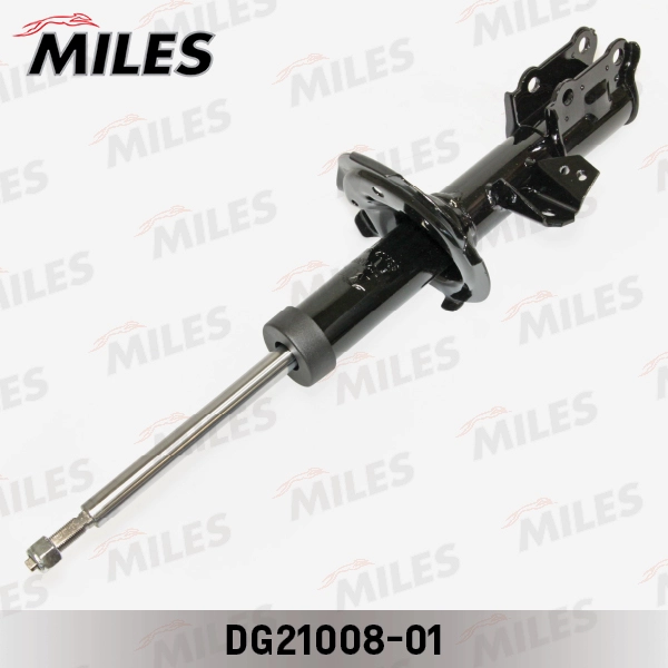 DG21008-01