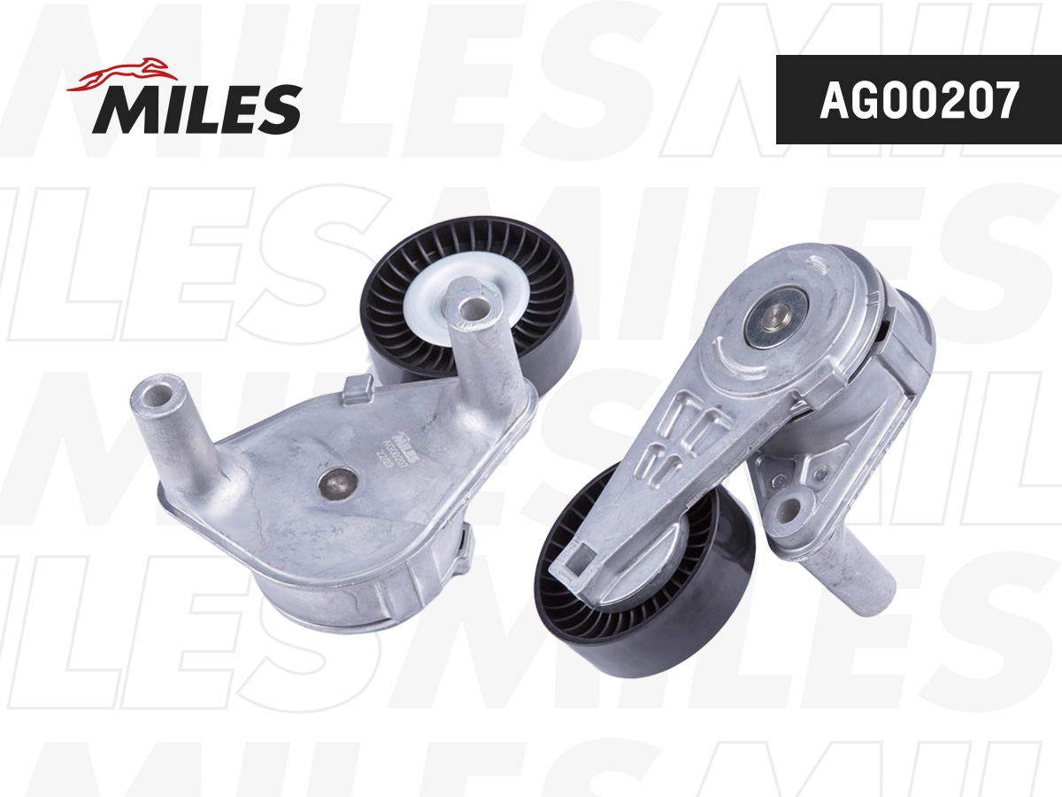 AG00207