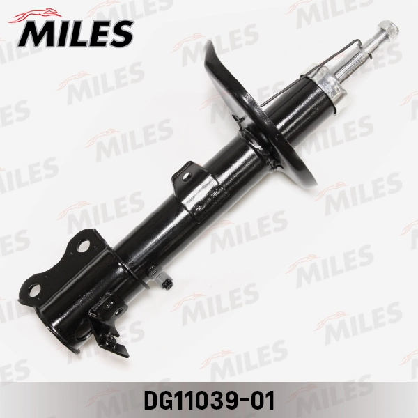 DG11039-01