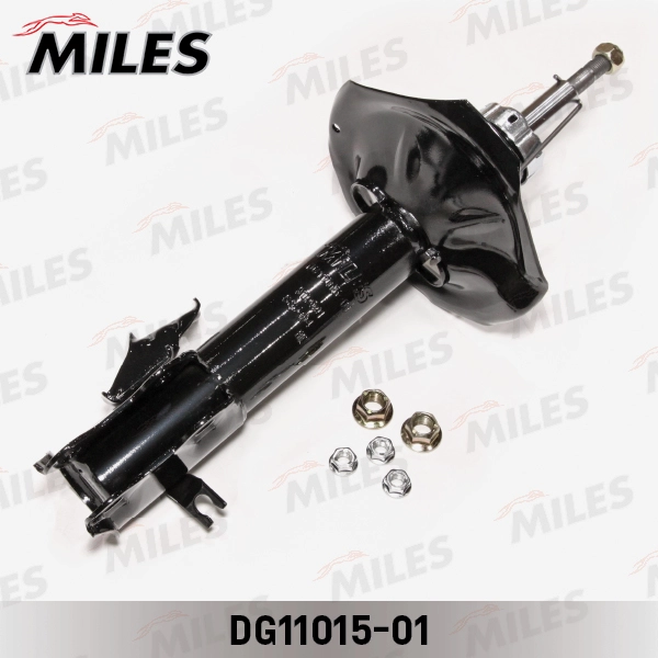 DG11015-01