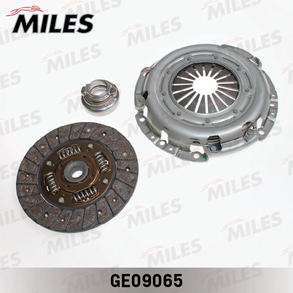 GE09065