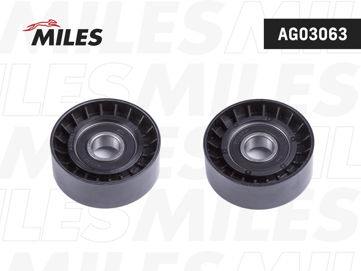 AG03063